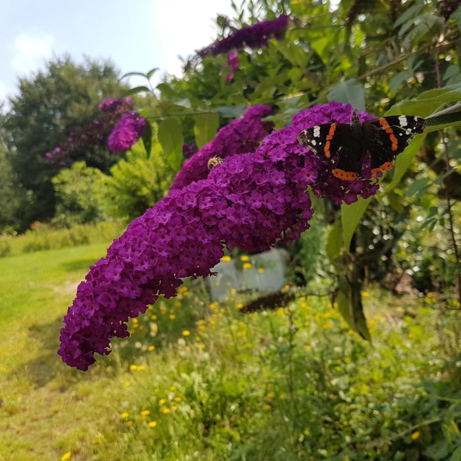 Domaine De La Chesnaie Bed & Breakfast Josselin Exterior photo