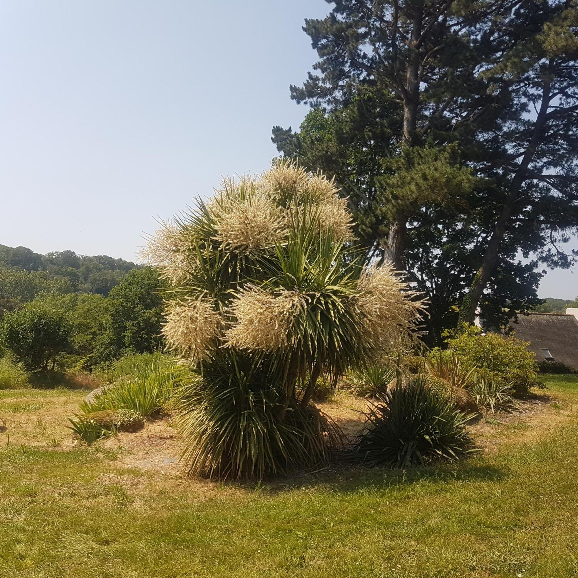 Domaine De La Chesnaie Bed & Breakfast Josselin Exterior photo