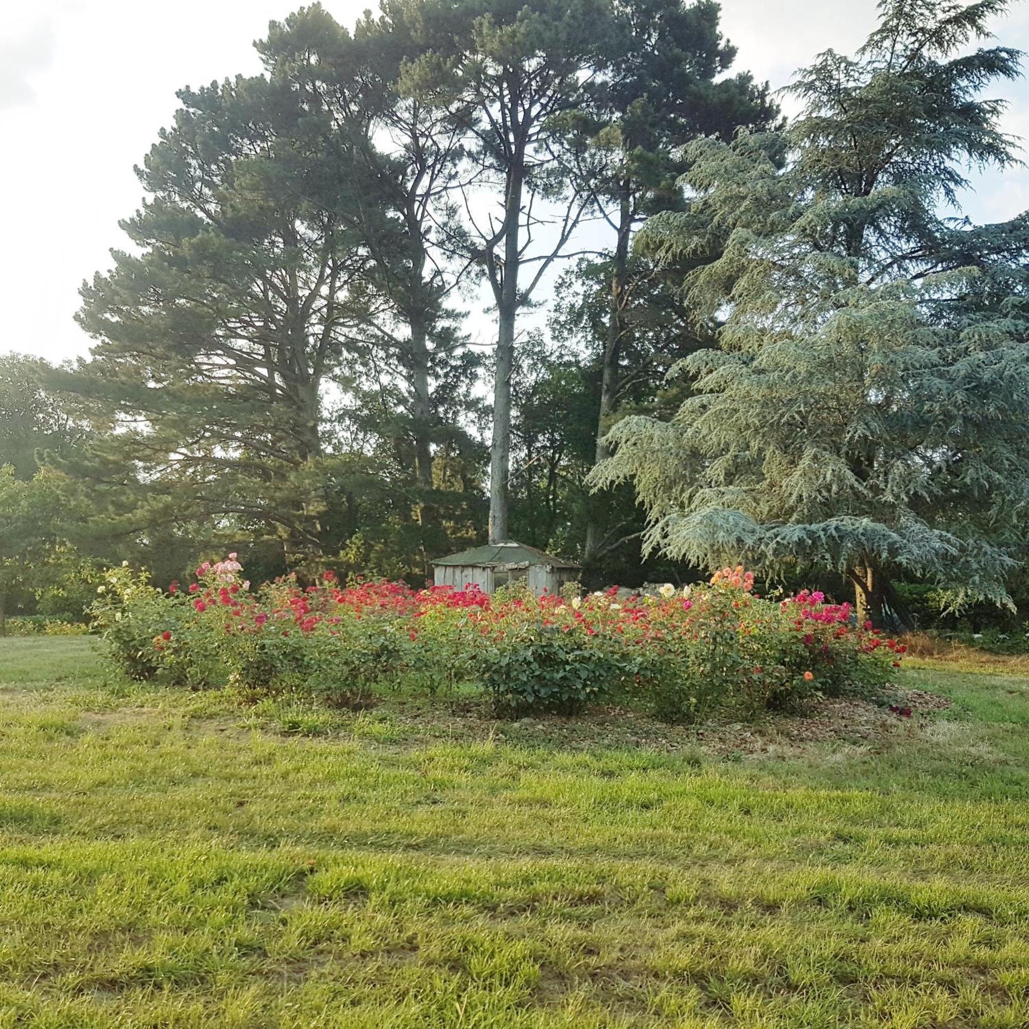 Domaine De La Chesnaie Bed & Breakfast Josselin Exterior photo