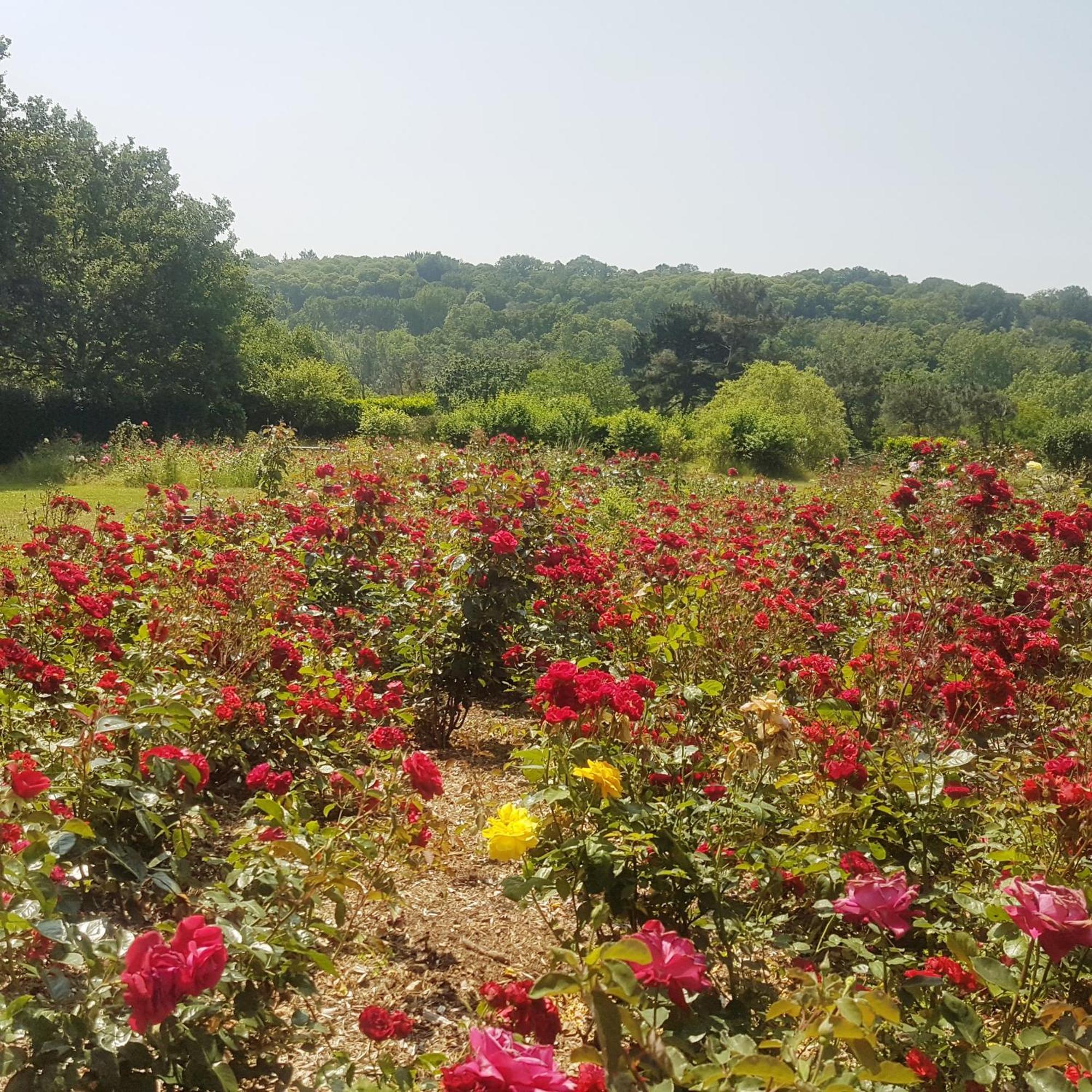 Domaine De La Chesnaie Bed & Breakfast Josselin Exterior photo